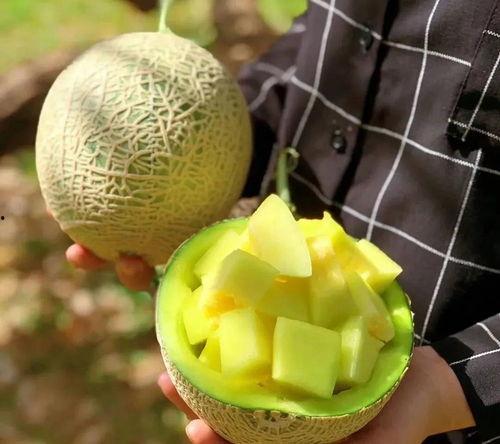 娱乐吃瓜甜,揭秘明星们的甜蜜生活  第1张