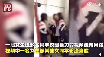 校园女生爆料视频在线观看,揭秘校园生活幕后真相  第1张